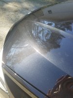 20170215_121718.jpg