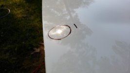 20170223_152027.jpg
