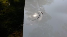 20170223_152432.jpg