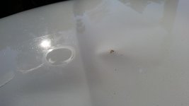 20170223_155906.jpg