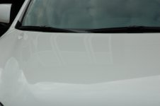DSC_0634.JPG