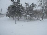 DSCN5010.jpg