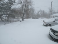 DSCN5011.jpg