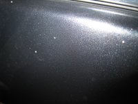 IMG_9741.JPG