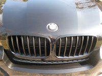 IMG_0467.jpg