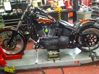 Petaluma-20110305-00140.jpg