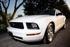 Mustang 1.jpg