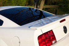 Mustang 10 (reflection).jpg