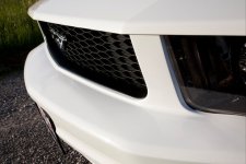 Mustang 14.jpg