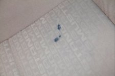 Mustang Ink Stain Before.jpg