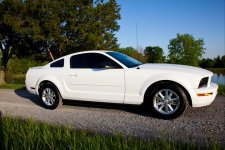 Mustang 6.jpg