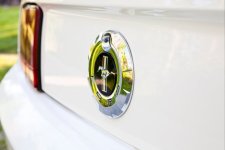 Mustang 13.jpg