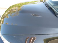 IMG_3525.JPG