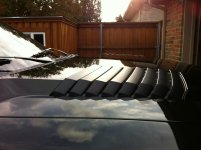 iPhone pictures 051.jpg