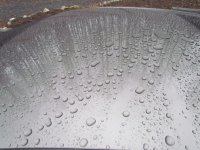 tn_IMG_10861.jpg