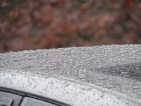 tn_IMG_10851.jpg
