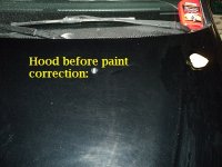 hood2.jpg