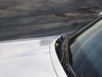 IMG_0349.jpg