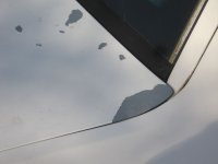 IMG_0359.jpg