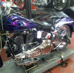 Petaluma-20120128-00679.jpg