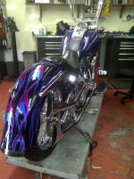 Petaluma-20120128-00680.jpg