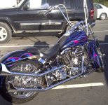 Petaluma-20120128-00681.jpg