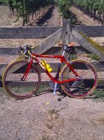 IMG-20110828-00384.jpg