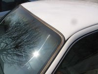 IMG_0347.jpg