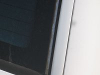 IMG_0350.jpg