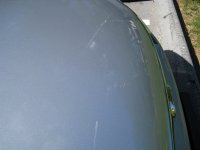 IMG_2064.jpg