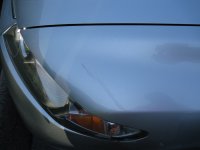 IMG_2095.jpg