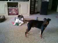 2012-04-21_15.20.39.jpg