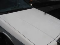 IMG_0041.jpg