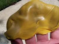 100_0430.jpg