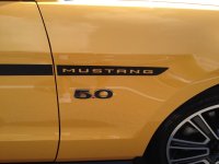 IMG_1681.jpeg