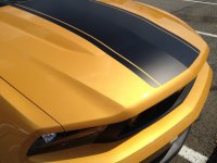 IMG_1684.jpeg