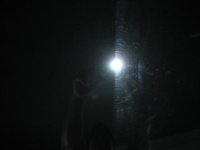 DSCN0602.JPG
