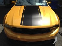 IMG_1741.jpeg