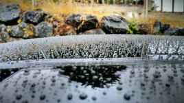 IMAG0878-1.jpg