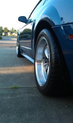 IMAG0781.jpg