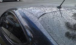 IMAG0491.jpg