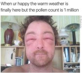 pollen count.jpg