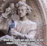 pigeon crap.jpg