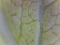 IMG_1280.JPG