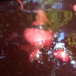 IMG_1289.JPG