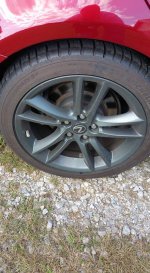IMG_0248.JPG