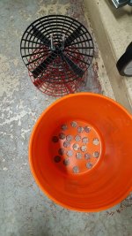 20161223_090723.jpg