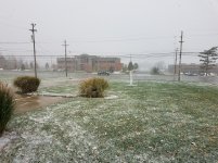 winter.jpg