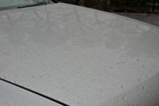 DSCN4196.jpg