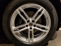 i-8tNnh8M-X2.jpg